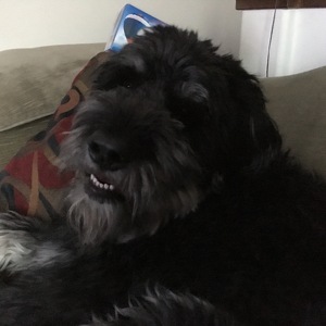 Jeff & Carol McNaughton